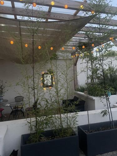 a room with plants and a clock on the wall at Chambre Le Colibri in Lezoux