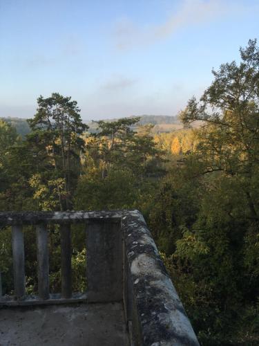 a balcony with a view of a forest of trees at Belle vue in Montsoreau