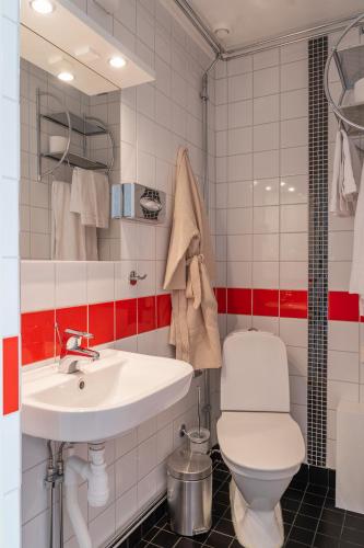 a bathroom with a white toilet and a sink at Röstavallens Högfjällshotell in Tänndalen
