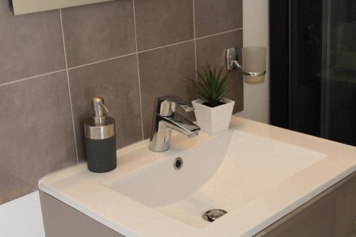 ein Waschbecken mit einem Wasserhahn und einer Pflanze darauf in der Unterkunft Cottage de Noëlle in Limoges