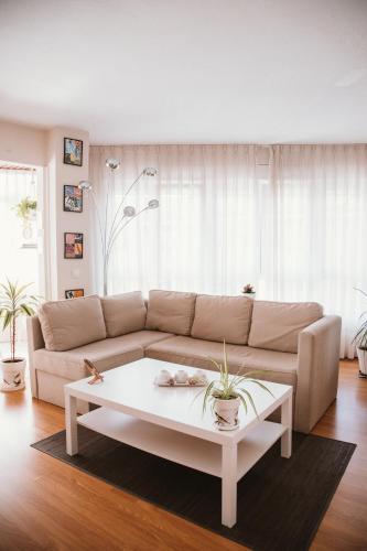 Bequer, amplio y luminoso apartamento VUT1035AS