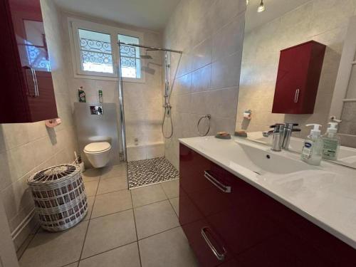 a bathroom with a shower and a sink and a toilet at Maison jeanborde in Serreslous-et-Arribans