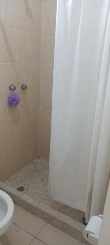 a bathroom with a shower with a toilet and a shower curtain at Paseo San Andres in Zacatecas