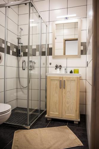 a bathroom with a shower and a sink and a toilet at Hont Vendégház in Hont