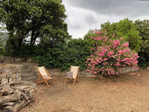 Sartene - Corse du sud ouest