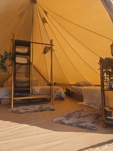 a tent with a bed and a ladder in a room at Glamping met paarden in Nieuwerkerken