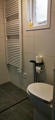 a bathroom with a white toilet and a window at Bed and Breakfast Op het Broek in Harfsen