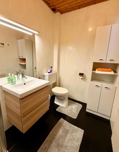 a bathroom with a sink and a toilet at Ferienwohnungen Pernull in Waidegg
