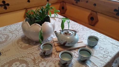 a table with a tea pot and a vase with a plant at Sonja's Bed and Breakfast in Lightning Ridge