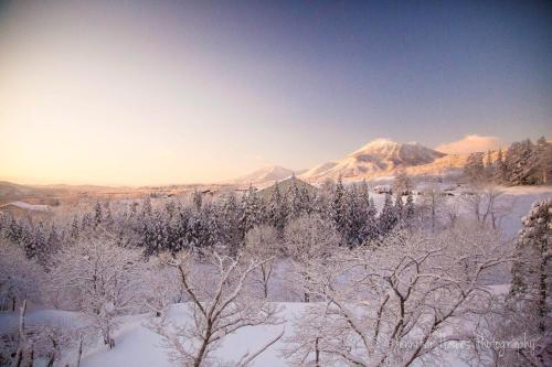 a snow covered forest with mountains in the background at Morino Lodge - Myoko in Myoko