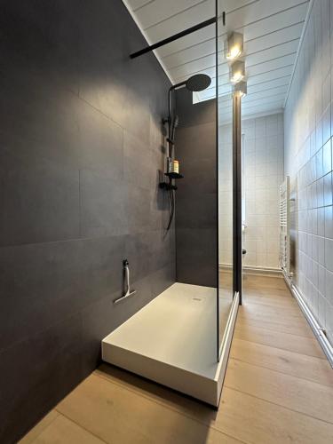 a shower with a glass door in a bathroom at Ferienwohnung Weitsicht in Hüttenrode