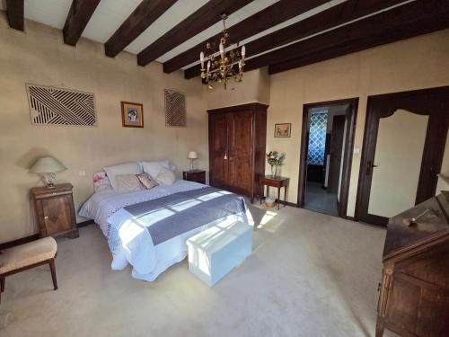 a bedroom with a bed and a chandelier at Les Pierres Du Périgord 200 in Couze-et-Saint-Front