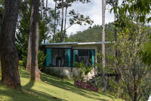 a house in the woods with trees at Phu Pha View Doi in Samoeng