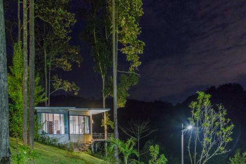 a house in the middle of the forest at night at Phu Pha View Doi in Samoeng