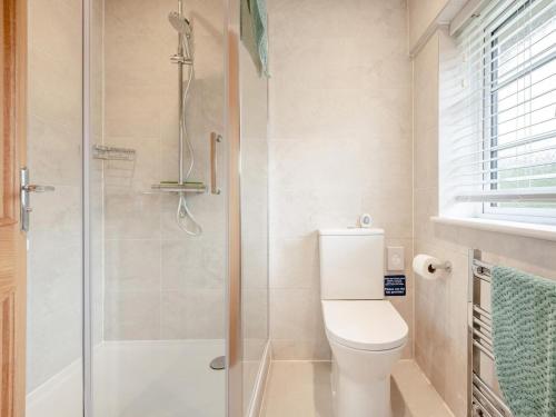 a bathroom with a toilet and a shower at 2 Bed in Fordingbridge oc-96127 in Godshill