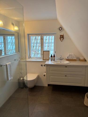 a bathroom with a shower and a toilet and a sink at Risinge Herregård Bed & Breakfast in Ullerslev