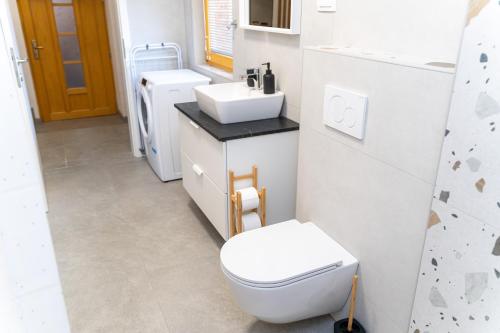 a bathroom with a toilet and a sink at Timeless Barn in Ljubljana