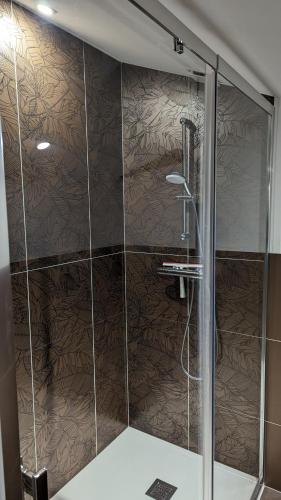 a shower with a glass door in a bathroom at Sylo-V CHAMBRE EDGAR in Gensac-la-Pallue