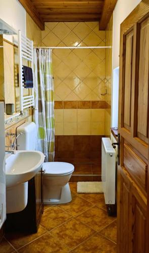 a bathroom with a toilet and a sink at Budafai Vendégház in Kiscsehi