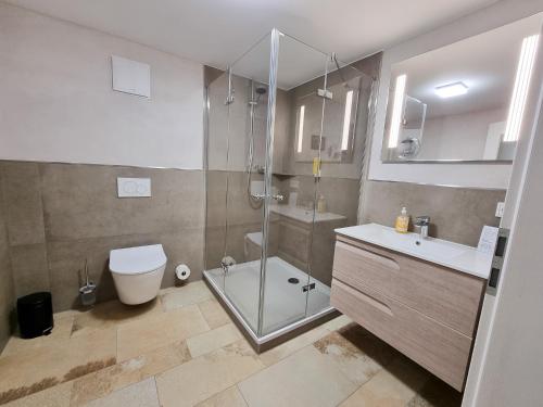 a bathroom with a shower and a toilet and a sink at Apartment "Storch" in Wehlenberg