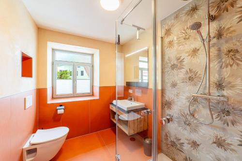 a bathroom with a shower and a toilet and a sink at Apartment "Hopfenblume" in Spalt