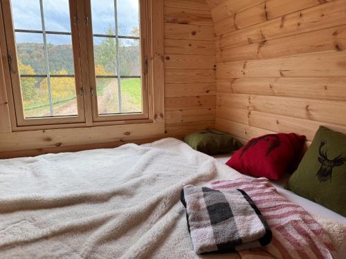a bed in a wooden room with a window at Weinbergsauna in Großweingarten