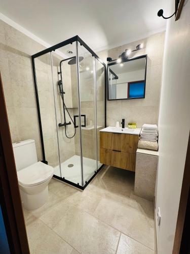a bathroom with a shower and a toilet and a sink at Auberge d'Anais in Vaison-la-Romaine