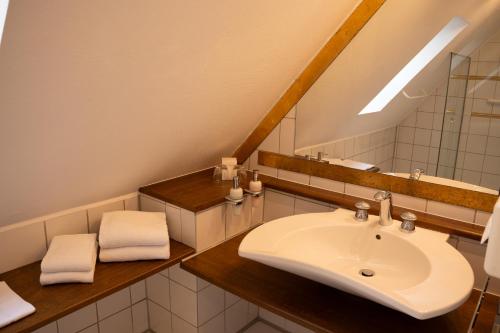 a bathroom with a sink and a mirror at Drahthammer Schlößl in Amberg