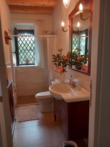 a bathroom with a sink and a toilet and a shower at Riccioli dell' Etna in Piedimonte Etneo