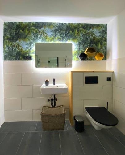 a bathroom with a sink and a toilet and a mirror at AHOI MARIE in Blekendorf