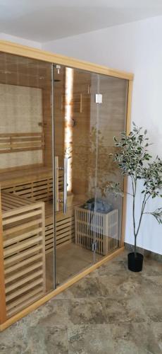a shower stall with a potted plant in a room at Drag de Bucovina in Gura Humorului