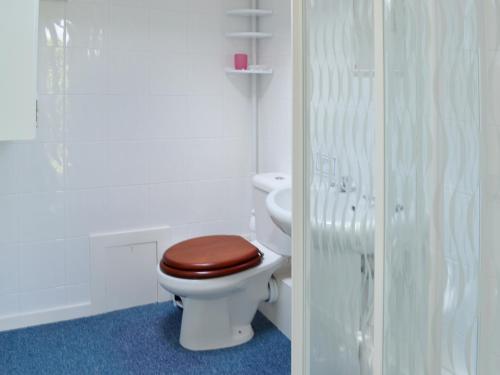 a bathroom with a toilet with a wooden toilet seat at Heather Brae Lodge in Nancledra