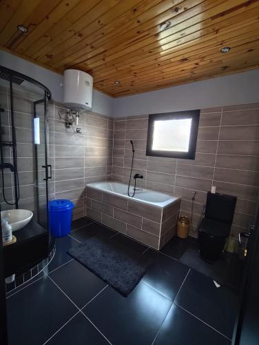 a bathroom with a bath tub and a sink at Akany Tsitoha in Tanjombato