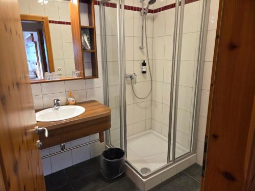 a bathroom with a shower and a sink at Hotel Restaurant Raunig in Bad Kleinkirchheim