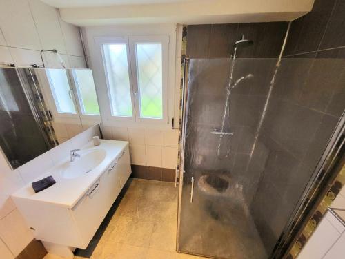 a bathroom with a shower and a sink at Sasseres Appart Souplex 6 pers Extérieur in Argelès-Gazost