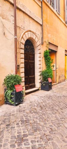 NAVONA & CASTEL SANT'ANGELO WHOLE HOLIDAY APARTMENT da PAMINO & PRISCILLA