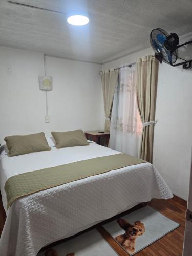 a bedroom with a bed with a dog on a rug at Andes Hostal Serena in La Serena