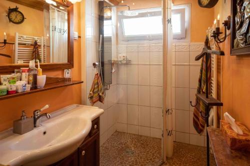 une salle de bain avec lavabo et douche dans l'établissement Le Coco Loco, au Luc