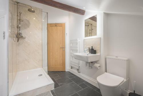 a bathroom with a toilet and a sink and a shower at Luxury Barbican Apartment in Plymouth