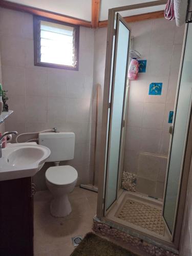 a bathroom with a shower and a toilet and a sink at Among the cherry trees B&B 6 - Nahal Dan in Metulla