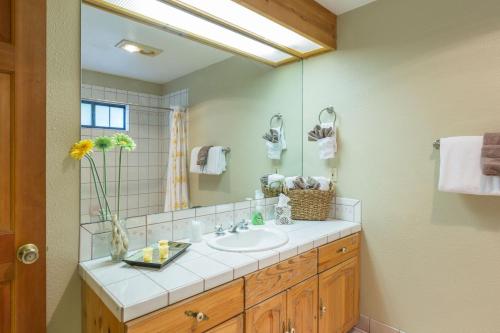 uma casa de banho com um lavatório e um espelho em Yosemite Sierra Blossom em Yosemite West
