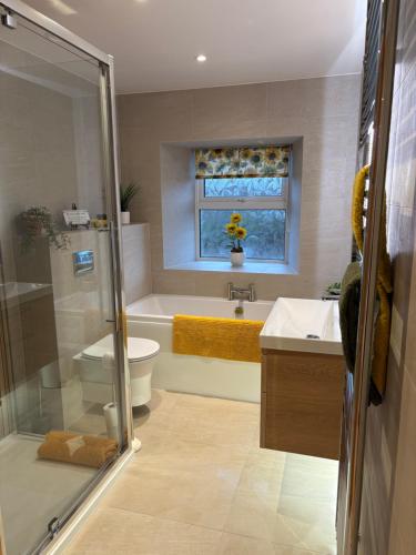 a bathroom with a shower and a toilet and a sink at Meikle Aucheoch Holiday Cottage, plus Hot Tub, Near Maud, in the heart of Aberdeenshire in Peterhead