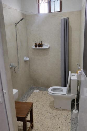 a bathroom with a toilet and a shower at Nilio Explorer & Lodge in Mfumbwi