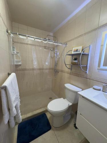 a bathroom with a toilet and a shower and a sink at Palma Divine Condo-2BR-2BTH-Pool in Noord