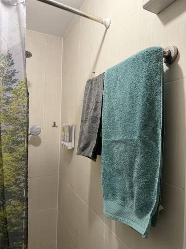 Bany a Cozy Grey Studio