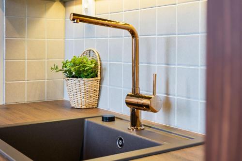 a kitchen sink with a brass faucet at Studio Esterinkatu in Imatra
