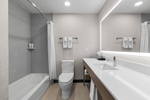 a bathroom with a toilet and a tub and a sink at Holiday Inn Express Hotel & Suites Santa Cruz by IHG in Santa Cruz