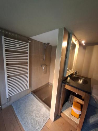 a bathroom with a sink and a bath tub at Huis aan Puyenbroeck in Wachtebeke