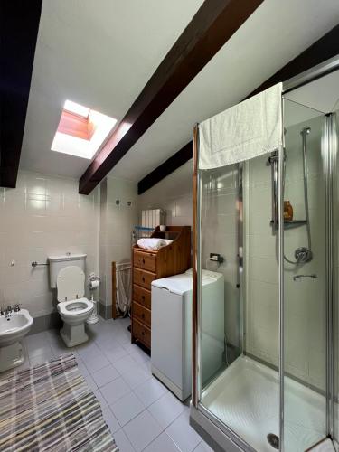 a bathroom with a shower and a toilet and a sink at Passeggiata al sole in Santa Maria Maggiore