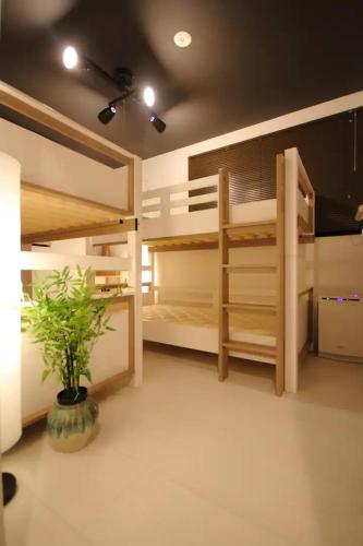 a bedroom with two bunk beds and a potted plant at Fuji Time traveler 新館 in Fujikawaguchiko